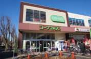 コープ新松戸店